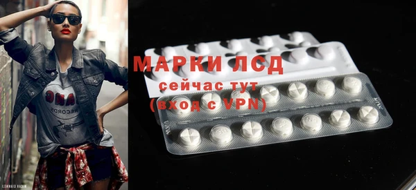 прущие грибы Богородицк