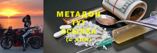 прущие грибы Богородицк