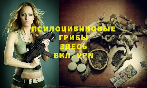 прущие грибы Богородицк