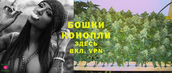 прущие грибы Богородицк