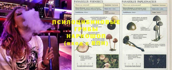 дистиллят марихуана Богородск