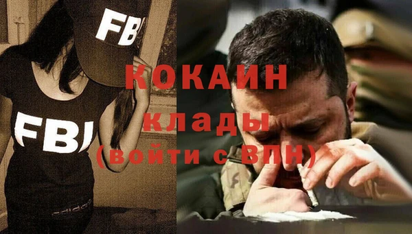 прущие грибы Богородицк