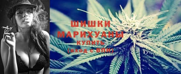 трава Богданович
