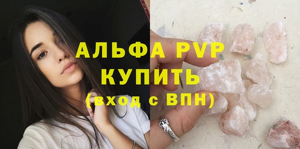прущие грибы Богородицк