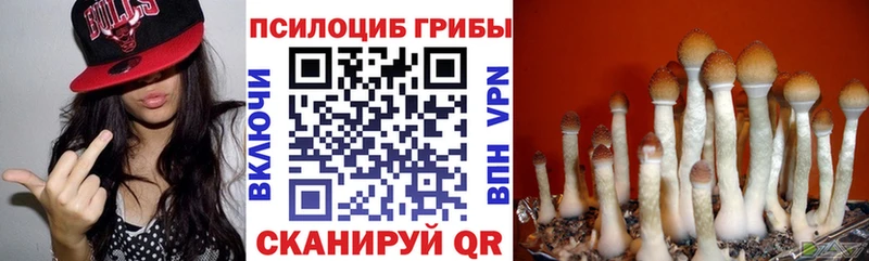 Галлюциногенные грибы Psilocybe  Долинск 