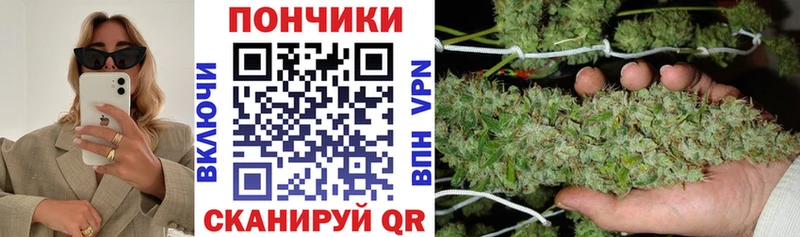 Каннабис MAZAR Долинск